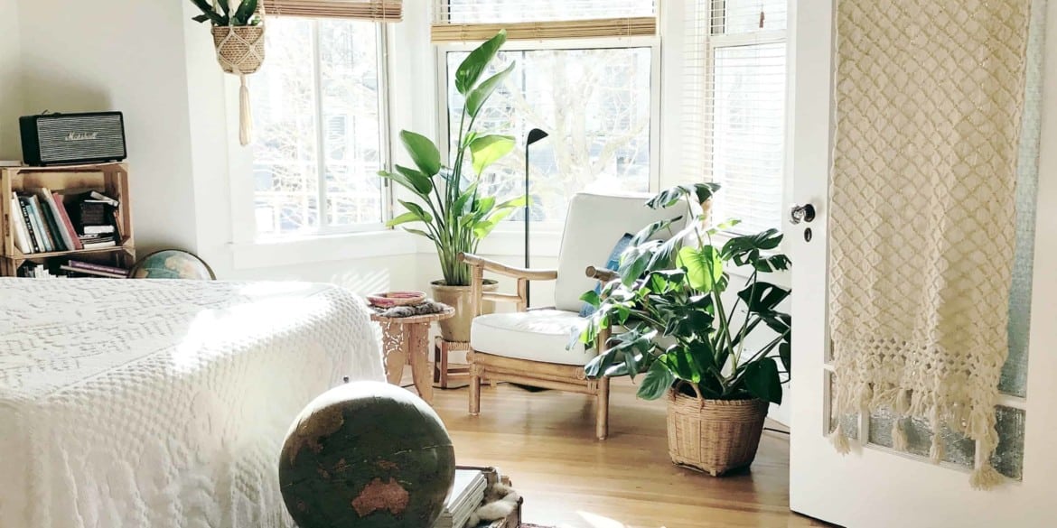 18 Plants That Help You Sleep The Complete Botanical Guide