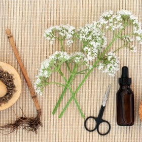 How To Take Valerian For Sleep