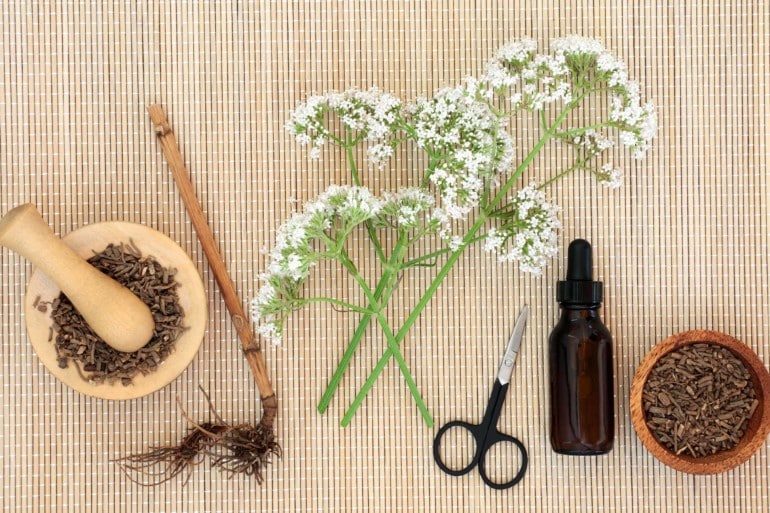 How To Take Valerian For Sleep: Guide To Using Valerian Root