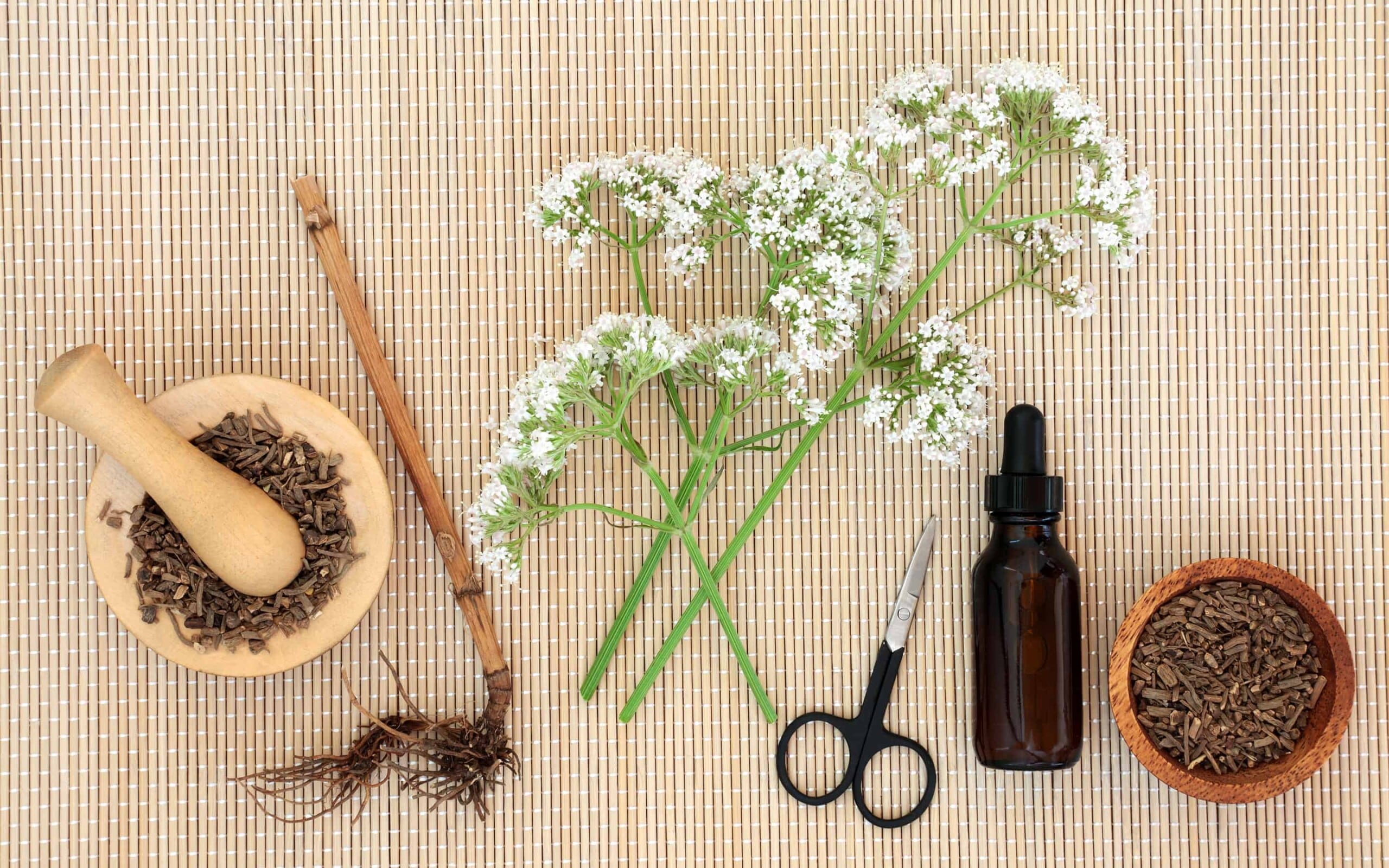 How To Take Valerian For Sleep: Guide To Using Valerian Root