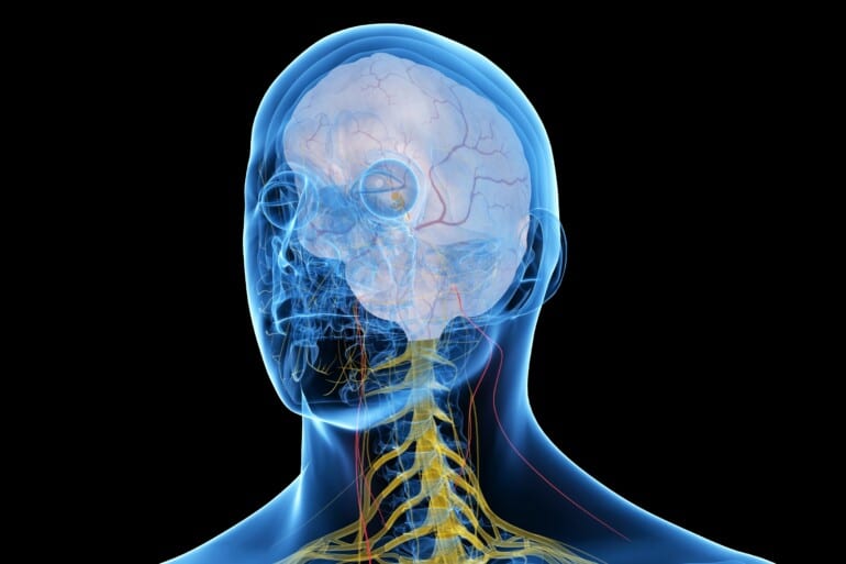 Vagus Nerve And Sleep