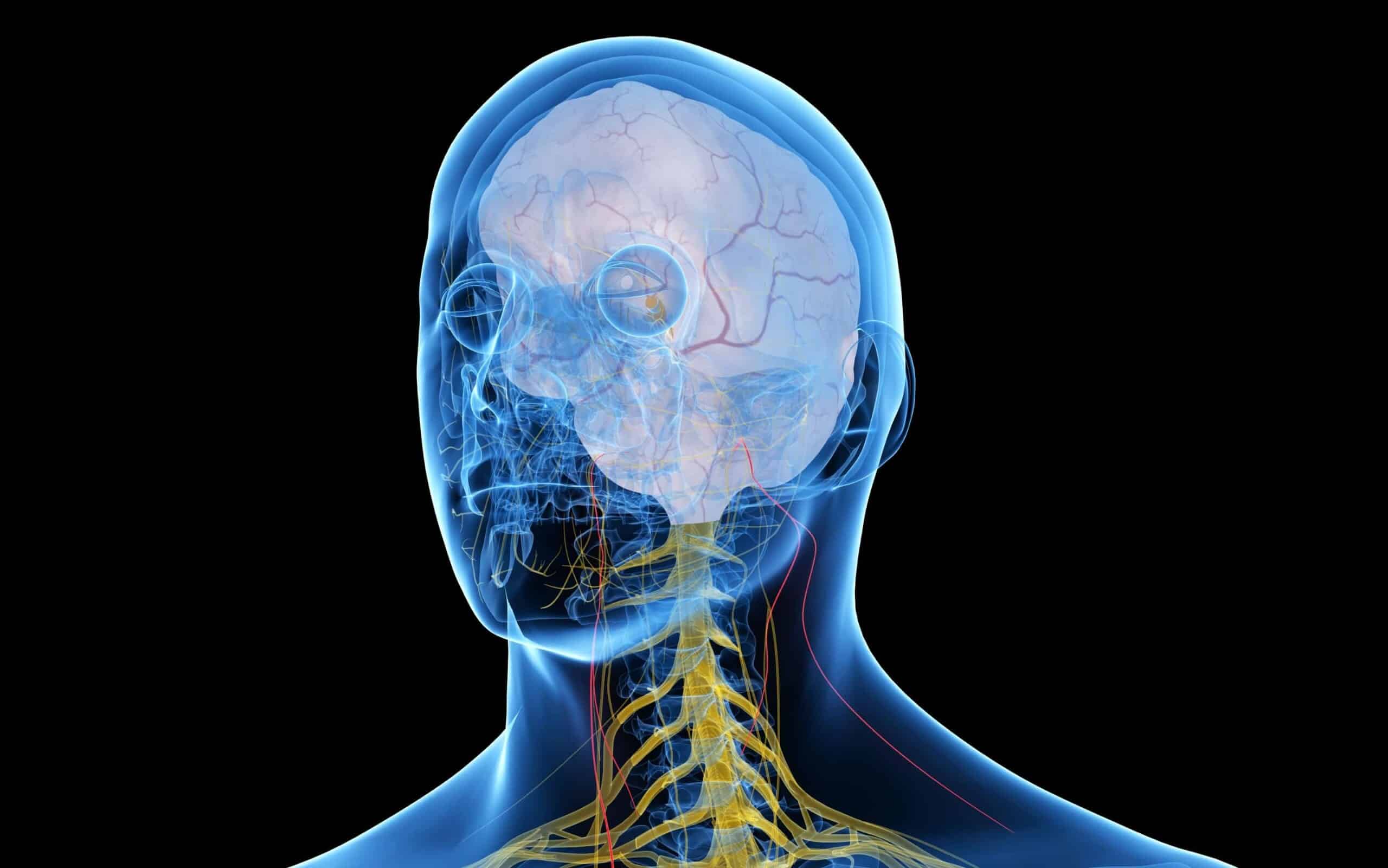 The Vagus Nerve And Sleep: An Introduction To VNS